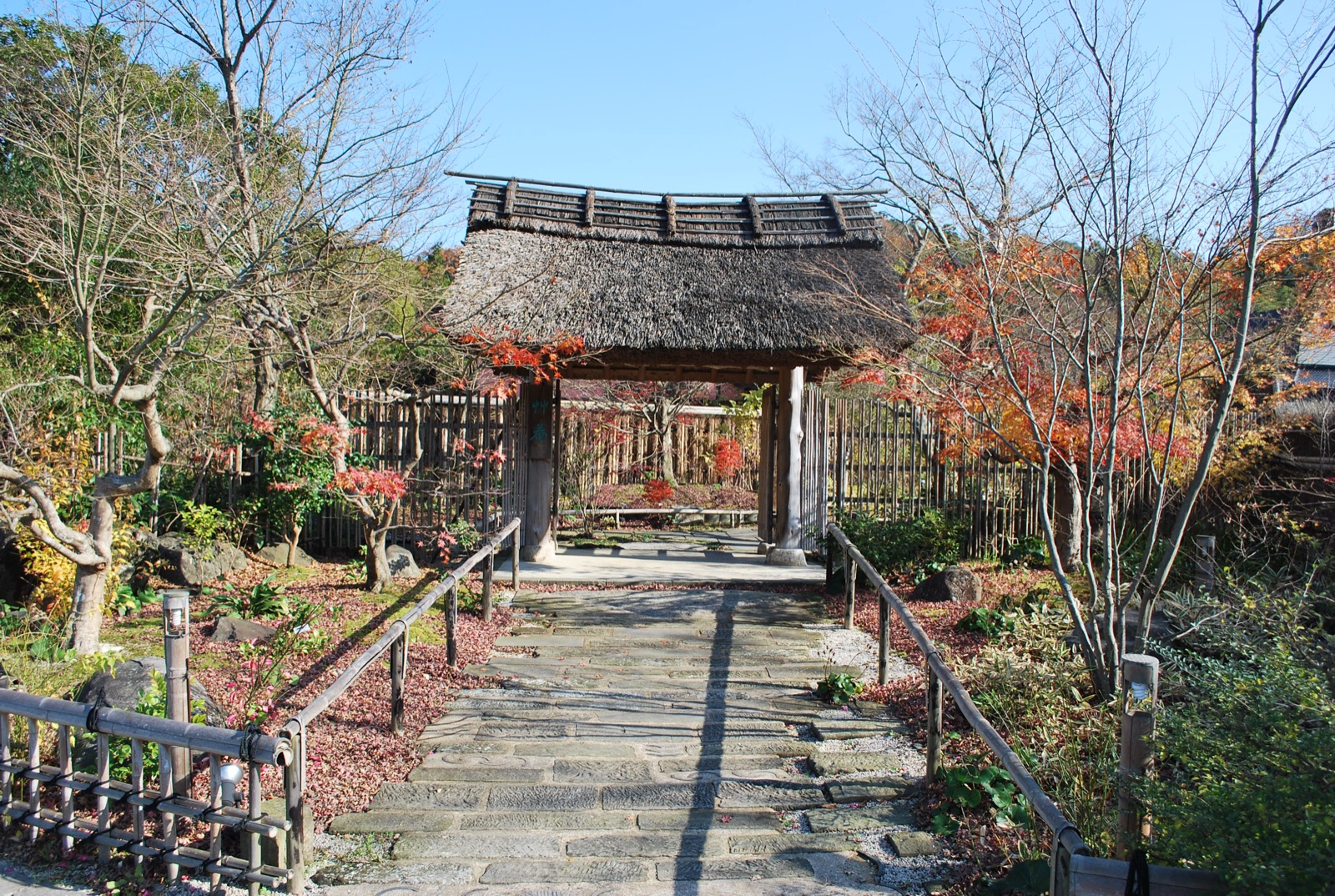Koshi atelier
